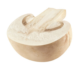 Half of champignon isolated on white background.