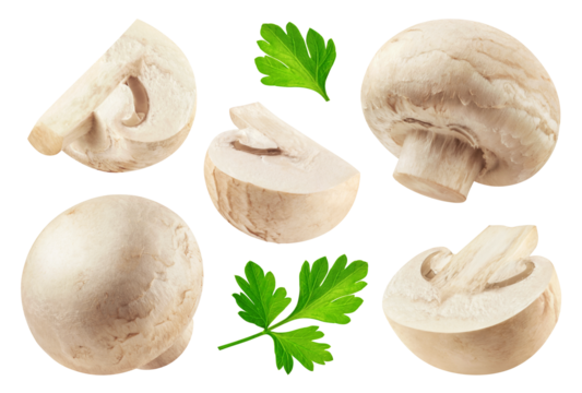 Champignons isolated set. Collection of mushrooms and champignon slices on white background.