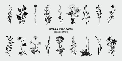 Flower branch and minimalist flowers for logo or tattoo. Vector hand drawn line wedding grass, elegant leaves for invitation. Botanical rustic trendy greenery