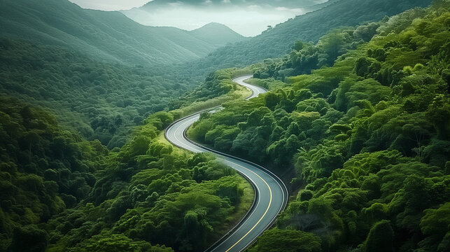 winding mountain road lush green forests aerial view nature beauty scenic