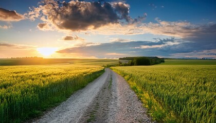 Obraz premium country gravel road and green wheat field with sky clouds at sunset