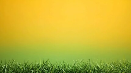 Fototapeta premium Vibrant Green Grass Against a Yellow Gradient Background