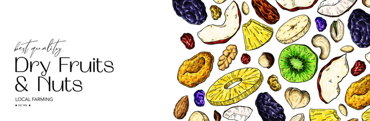 Dried fruits and nuts drawing. Vector label template.