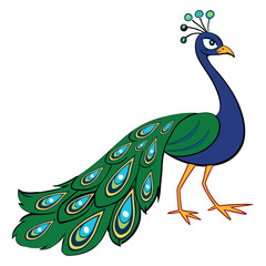 Peacock design cartoon