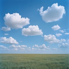 Obraz premium Open prairie landscape under a cloudy Sky
