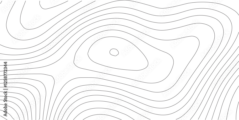 Poster abstract gray topography contour map background design .geometric black wave curve lines texture .ab