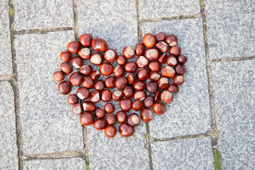 Serce z kasztanów © Piotr
