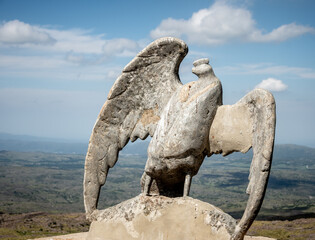 condor