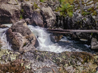 waterfall against the backdrop of a burnt forest