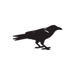 Crow silhouette vector isolated file with white background