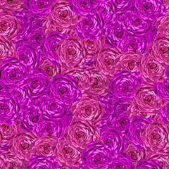 Obraz premium Seamless floral background with vibrant pink rose patterns