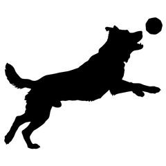 Silhouette of dog jumping to catch ball, playful pet action, toy chase, energetic movement, fun, outdoor activity, canine exercise, fetch concept, dog playtime, excitement, happy dog, pet behavior.