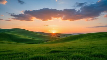 Green waves under the golden sun