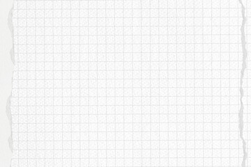Off-white grid patterned background, ripped paper border