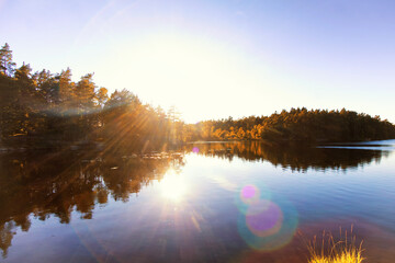 Swedish archipelago landscape with sun flooded forest mirrored in a lake