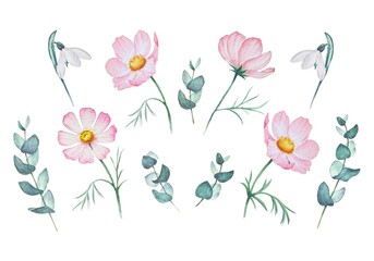 Set of hand drawn watercolor delicate spring pink white flowers, branches leaves eucalyptus white background isolated.
