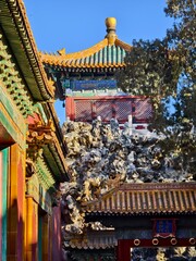 Architectural details of the Forbidden City in Beijing, China