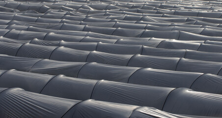Fototapeta premium A late evening view of the low plastic tunnels to grow vegetables in a field in wintertime