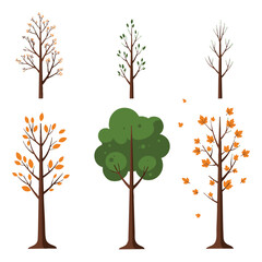 This image showcases four stylized tree illustrations, depicting different stages of growth and leaf change throughout the seasons