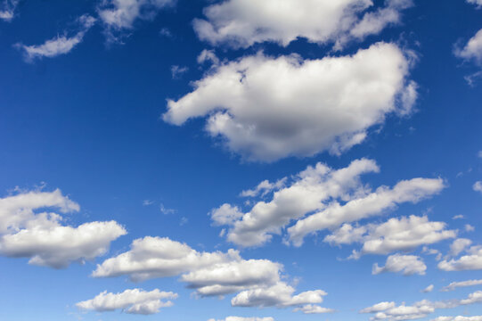 Blue sky in summer with medium sized cumulus clouds