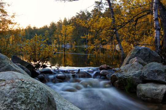 Characteristic Swedish countryside with lake and forest scenery