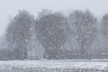 Winter storm on a snow covered open field surrounded by trees