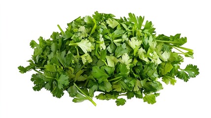 Obraz premium Fresh Chopped Cilantro and Parsley Isolated on White Background