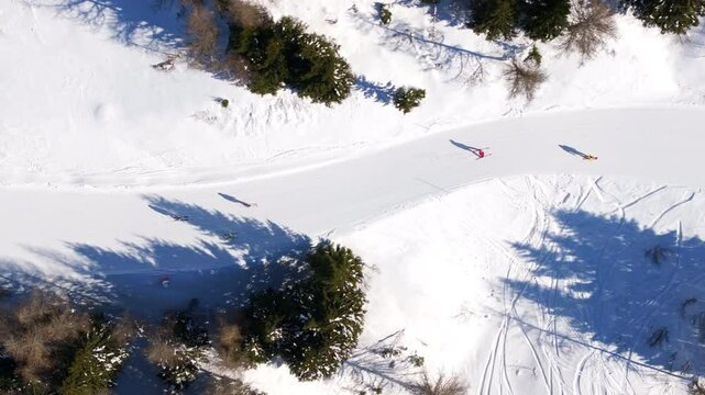 Aerial drone view of a ski resort in Col dei Baldi, Alleghe, in the Dolomites, Italy in daylight