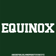 Futuristic alphabets display font vector with alternate