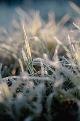The frost covered grass sparkles in the beautiful early morning light, creating a stunning scene