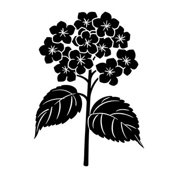 black hydrangea flower silhouette on white clip art preview