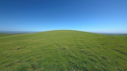 Fototapeta premium Rolling green hill, clear sky, coastal view, pastoral scene, nature background