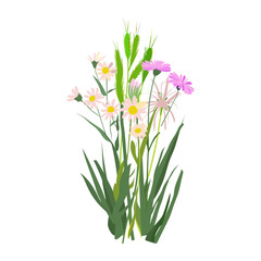 Fototapeta premium Wildflower bouquet flowers art illustration vector