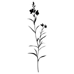 Illustration silhouette minimalist flower vector