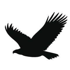 Eagle silhouette illustration flying black vector