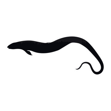 Moray eel silhouette illustration animal simple vector