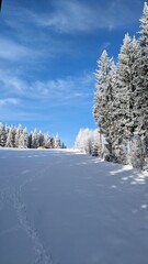 ukraine, bukovel, landscape, mountain, ski resort, winter, snow, sky, tree, frost, white, cold, nature, season, trees, frozen, snowy, road, christmas, park, path, weather, outdoors, day