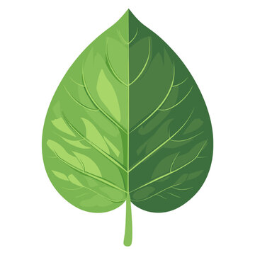 Green gress leaf illustration eco-friendly botanical vector