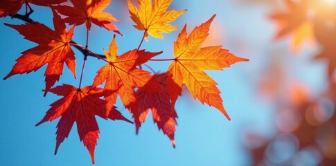 Crimson, gold, and orange maple leaves cluster on a branch against a clear blue sky , illustration, leaves, tree