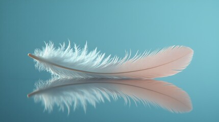 Obraz premium Soft white feather resting on calm blue surface reflecting gentle light