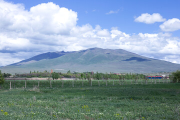 the ara mountain in armenia © Armine