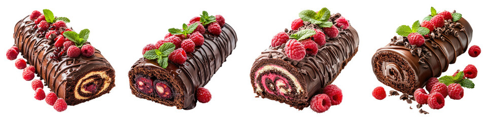 Chocolate roll cake with raspberries isolated on transparent background ,PNG, set of