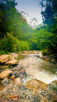 Yungas river
