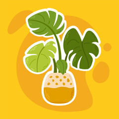 monstera plant with large green leaves in a patterned ceramic pot. Great for tropical decor, interior design, and botanical themes