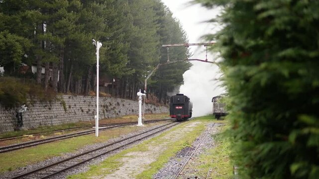 Steam locomotive - steam train Sila. Camigliatello Silano Italy 02.02.2025