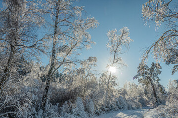 Verschneite Eislandschaft am Schlangenberg 