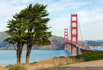 Beautiful Golden Gate Bridgeand and two trees