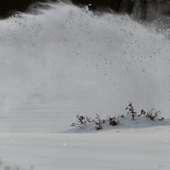 blowing snow full frame white winter abstract blank empty background. white out weather conditions....