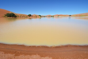 Obraz premium Wasser im Sossusvlei