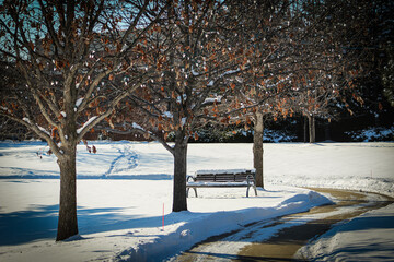 snowfall in a tree lined park with curved walking trail and bench for seating. a plowed shoveled...
